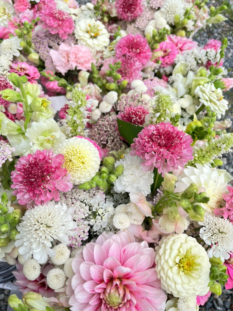 Onlinekurs- "Lär dig odla snittblommor - från frö till bukett"