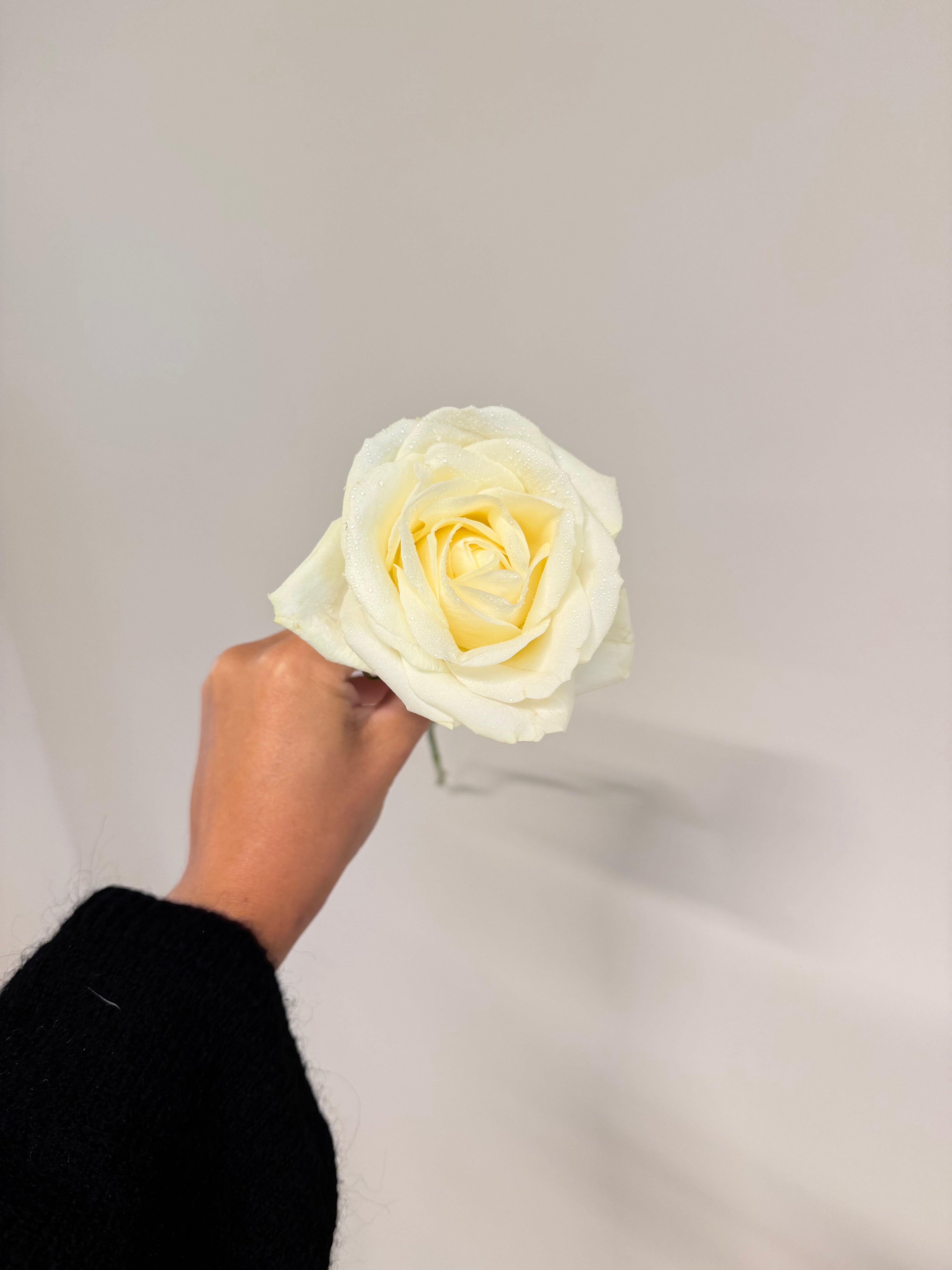 Handblomma/handbukett
